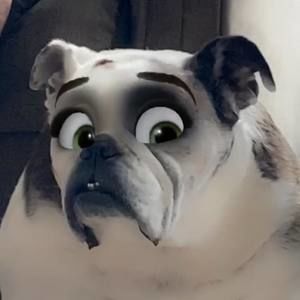 Meet your Posher, Debra tower